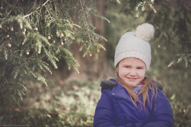 Snowy Digital Background Christmas Backdrop Frosted Baby Pine cone Branch Digital Backdrop Holiday Backdrops for Photoshop