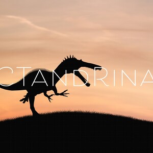 Dinosaur Digital Backdrop, Dinosaur Silhouette Digital Backdrop, Megalosaurus Digital Background, Fun Child Digital Backdrop for Photoshop