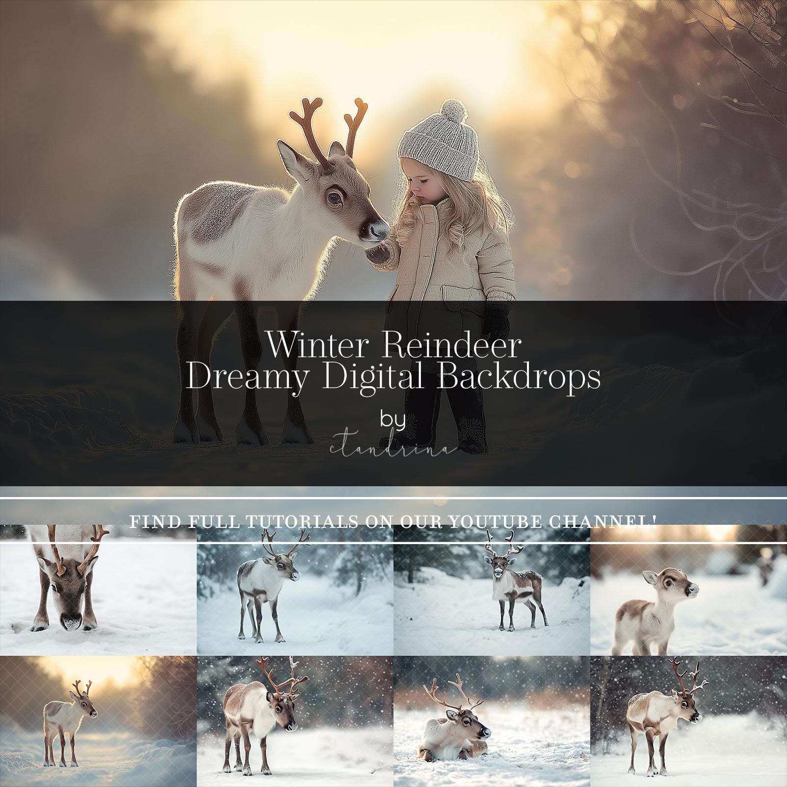 Winter Reindeer Digital Backdrop: Photoshop Photography Backgrounds (Digital Download)