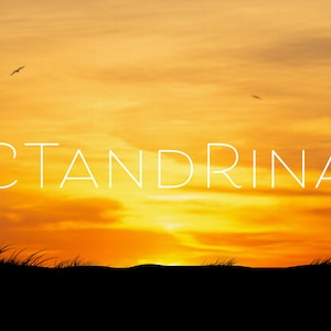 Sunset Beach Silhouette Digital Backdrop: Photoshop Background (Digital Download)