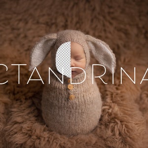 Bunny Newborn Digital Backdrop, Easter Newborn Background, Rabbit Backdrop for Babies, PNG Newborn Digital Backdrops for Photoshop