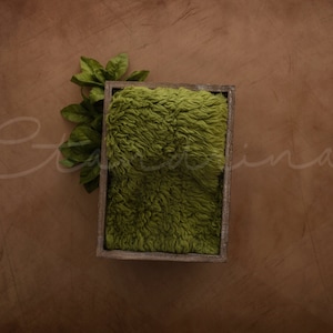 Green Leaves with Wooden Box Newborn Digital Backdrop, Nature Newborn Backdrop, Gender Neutral, Newborn Digital Backdrops for Photoshop