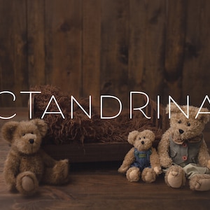 May include: Three teddy bears sitting on a wooden floor in front of a wooden backdrop. The bears are brown and have different outfits. The text "CTANDRINA" is written in white on the backdrop.