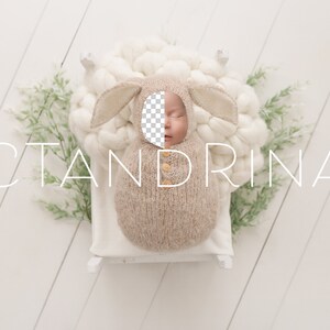 Easter Newborn Digital Backdrop, PNG Newborn Digital Background, Replace the Face Newborn Spring Digital Backdrop for Photoshop