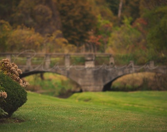 May include: A stone bridge with a single archway over a grassy area. The bridge is surrounded by trees with fall foliage.