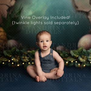 Dino Lair Digital Backdrop: Child Cake Smash, Vine Overlay (Digital Download)