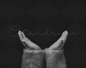 Santa Hands Digital Backdrop: Newborn Photography Prop (Digital Download)