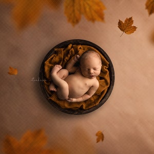 Fall Falling Leaves Newborn Digital Backdrop, Autumn Leaves Newborn Background, Baby Boy/Girl Fall Digital Backdrops for Photoshop Composite