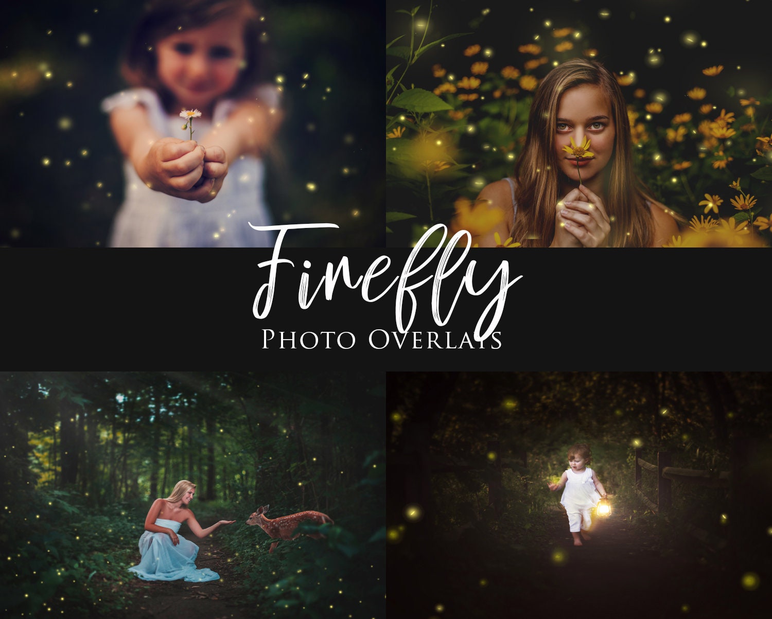 Firefly Overlays Lightening Bug Overlays Moon Bugs Magical Etsy Australia