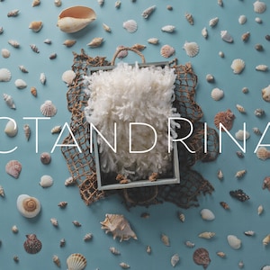May include: A white fluffy newborn prop in a wooden tray with a brown net overlay. The tray is surrounded by seashells on a light blue background. The text "CTANDRINA" is written in white on the background.