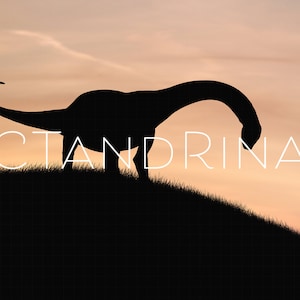 Dinosaur Digital Backdrop, Dinosaur Silhouette Digital Backdrop, Brontosaurus Digital Background, Fun Child Digital Backdrops for Photoshop