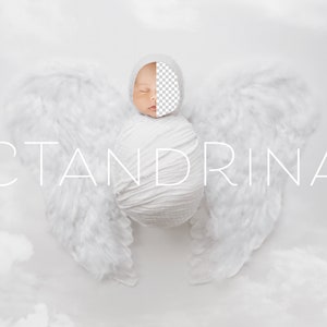 Angel Wings Newborn Digital Backdrop: Replace the Face PNG