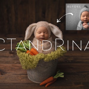 Bunny Newborn Digital Backdrop, Easter Newborn Background, Rabbit Backdrop for Babies, PNG Newborn Digital Backdrops for Photoshop