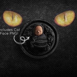 Cat Newborn Digital Backdrop: Halloween Baby Photo (PNG Face Makeup Overlay)
