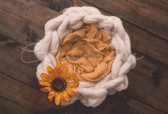 sunflower newborn photos