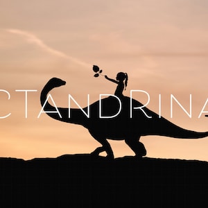 Dinosaur Digital Backdrop, Dinosaur Silhouette Digital Backdrop, Brontosaurus Digital Background, Fun Child Digital Backdrops for Photoshop