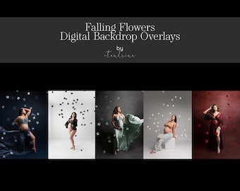 Falling Flower Photo Overlays: Photoshop Backdrop Florals (PNG Files)