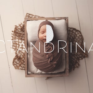Neutral Newborn Digital Backdrop: Brown Cream PNG Replace the Face
