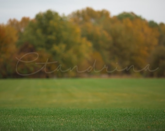 Fall Field Digital Backdrop, Field with Fall Foliage, Autumn Trees in Grassy Field, Photoshop Backdrops for Portrait Photography