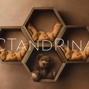 Newborn Triplets Digital Backdrop, Newborn Triplet Digital Background, Honey Bear Backdrop, Triplet Honeycomb Digital Backdrop for Photoshop