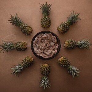 Può includere: Una ciotola marrone piena di filato marrone chiaro circondata da nove ananas su uno sfondo marrone.
