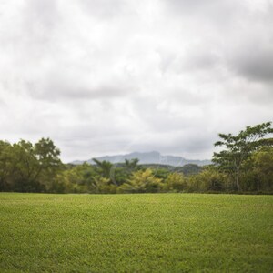 Può includere: Un campo erboso verde lussureggiante con vista su una catena montuosa lontana e alberi sullo sfondo. Il cielo è nuvoloso.