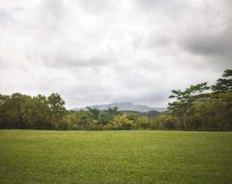 Cloudy Mountain Field Digital Backdrop: Hawaiian Background (Digital Download)