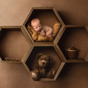 Honey Bee Bear Newborn Digital Backdrop: Honeycomb Photoshop Background (Digital Download)