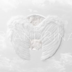 Angel Wings Newborn Digital Backdrop: Baby Photography (Digital Download)
