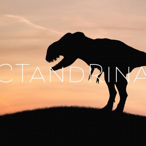 Dinosaur Digital Backdrop, Dinosaur Silhouette Digital Backdrop, T-Rex Digital Background, Fun Child Digital Backdrops for Photoshop