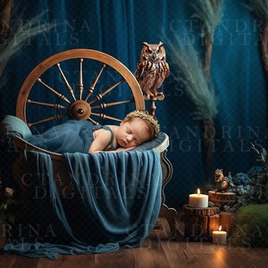 May include: A newborn baby sleeps peacefully in a wooden cradle shaped like a spinning wheel, draped with blue fabric. An owl statue sits nearby. The scene is set against a dark blue backdrop with candles and floral accents, creating a whimsical, fairytale theme.