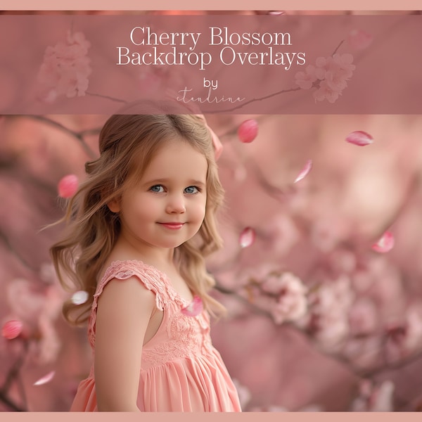 Cherry Blossom Petal Overlays, Pink Petal Overlay, Flower Petals for Photoshop, Spring Overlays for Photoshop, Cherry Blossom Overlay