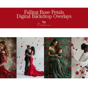 Red Rose Petal Photo Overlays: Romantic Photoshop Effects (Digital Download)