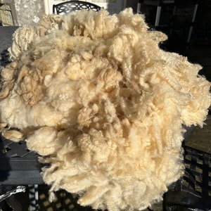 Boreray X BFL fårfleece