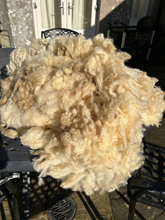 Boreray X BFL sheep fleece
