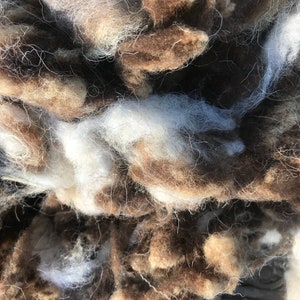 Dual coloured scoured rare breed fleece