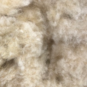 Boreray sheep fleece