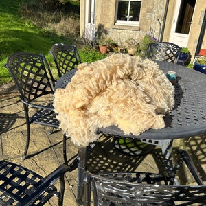 May include: A large pile of raw, unprocessed wool fleece, in a creamy beige color, sits on a dark gray metal table. The table is surrounded by black metal chairs with a lattice design. The scene is outdoors, with a stone building in the background.