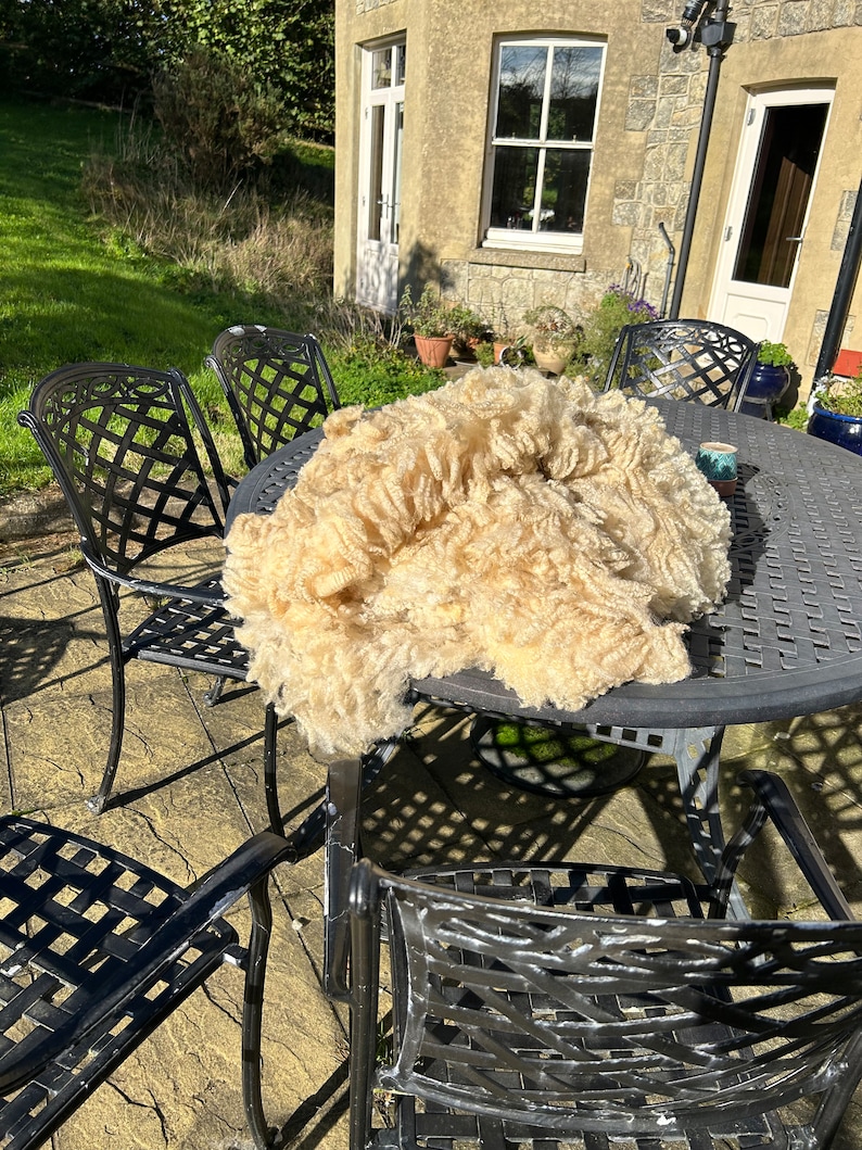 May include: A large pile of raw, unprocessed wool fleece, in a creamy beige color, sits on a dark gray metal table. The table is surrounded by black metal chairs with a lattice design. The scene is outdoors, with a stone building in the background.