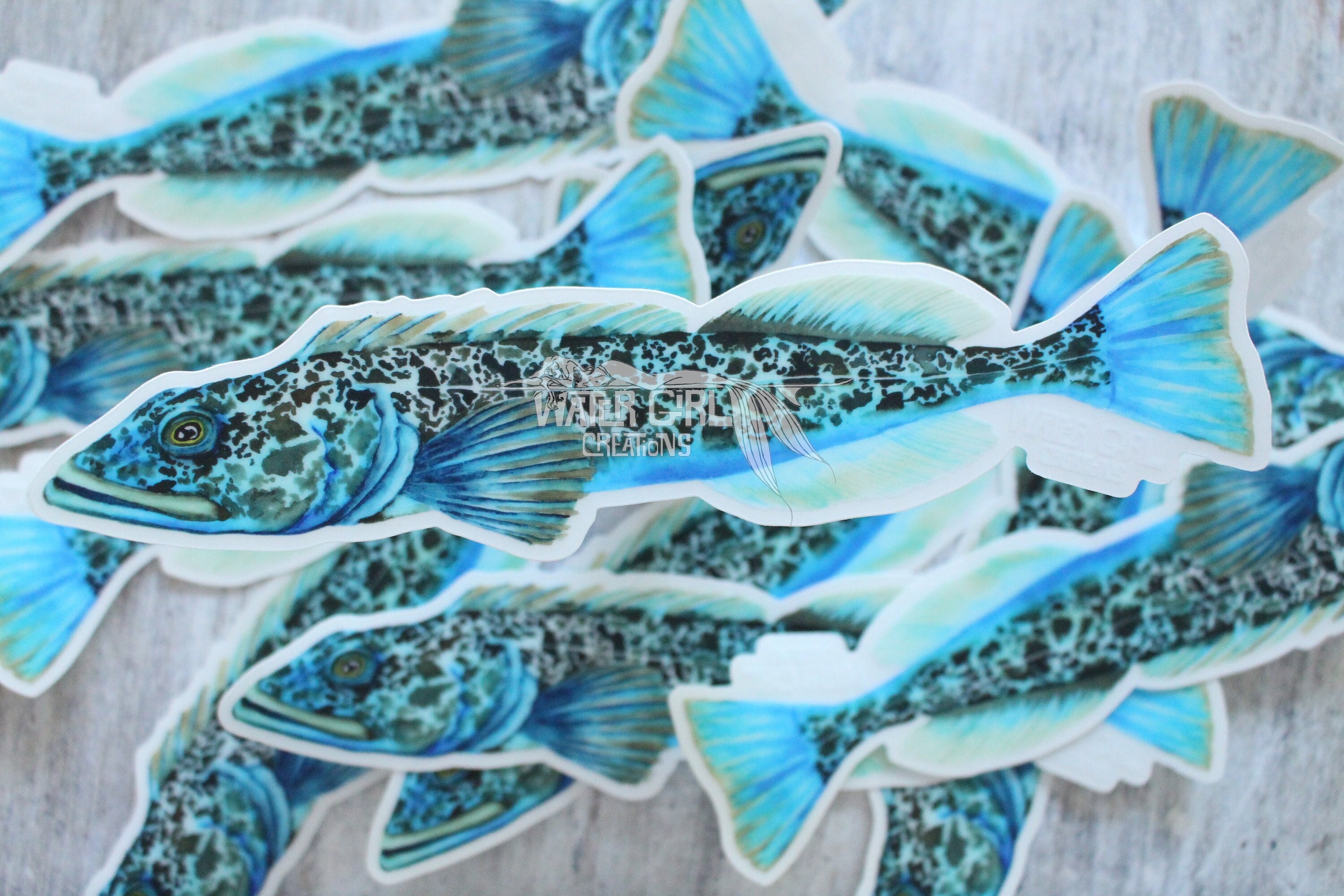 Lingcod Clear Vinyl Sticker - Etsy