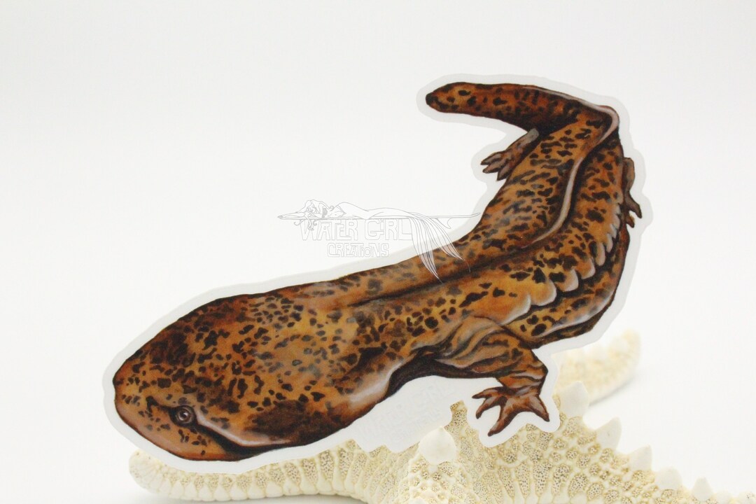 Hellbender Clear Vinyl Sticker - Etsy