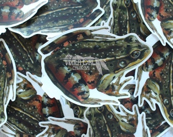 California Red-legged Frog (Rana draytonii)- clear vinyl sticker