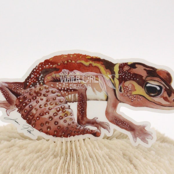 Knob-tailed Gecko clear vinyl sticker