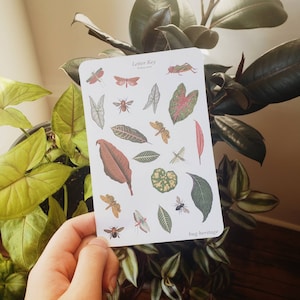 Bug & Leaves Sticker Sheet / Vintage Images / cottagecore