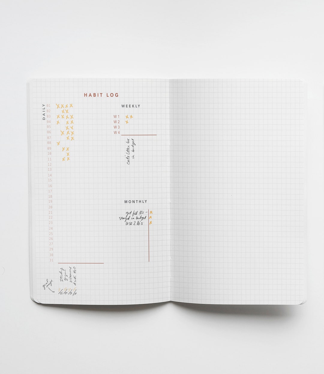 Habit Log - Printable / Bullet Journal Insert - Etsy