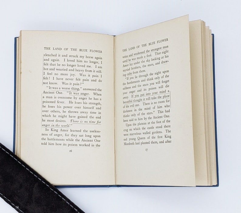 The Land of the Blue Flower by Frances Hodgson Etsy