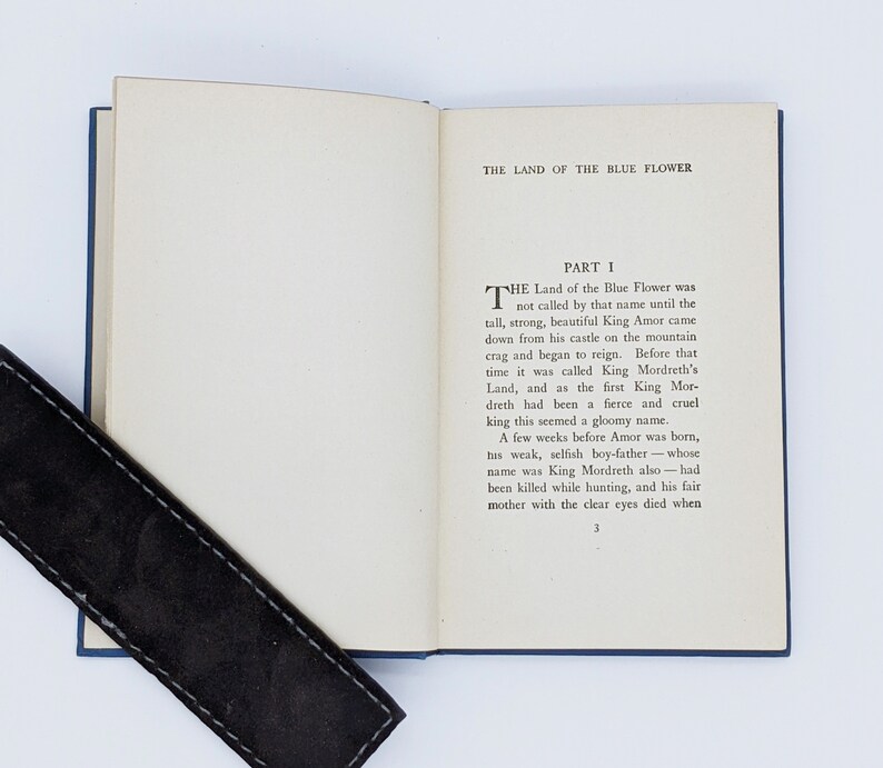 The Land of the Blue Flower by Frances Hodgson Etsy