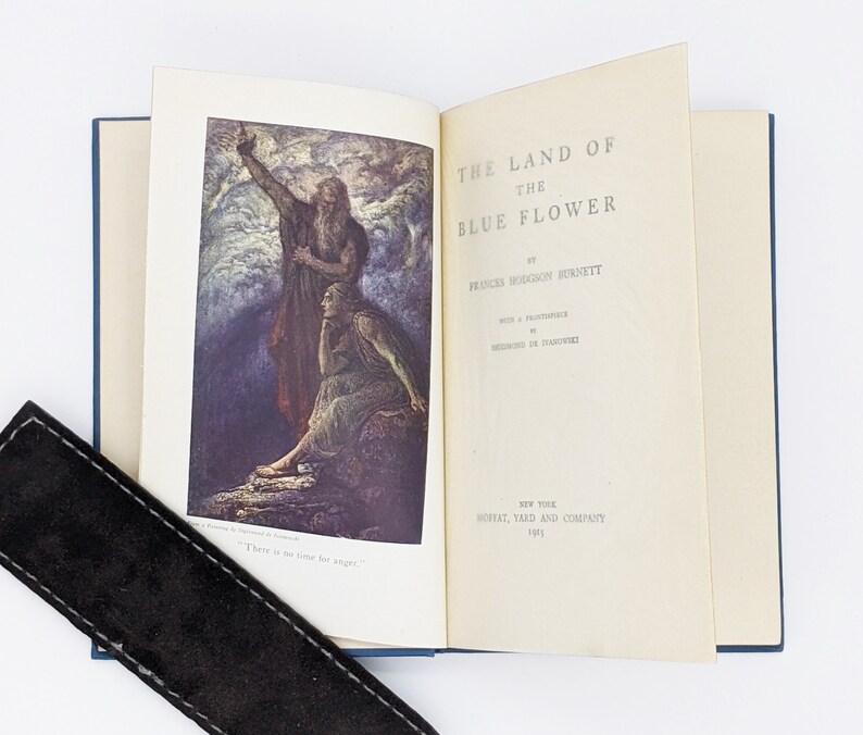 The Land of the Blue Flower by Frances Hodgson Etsy