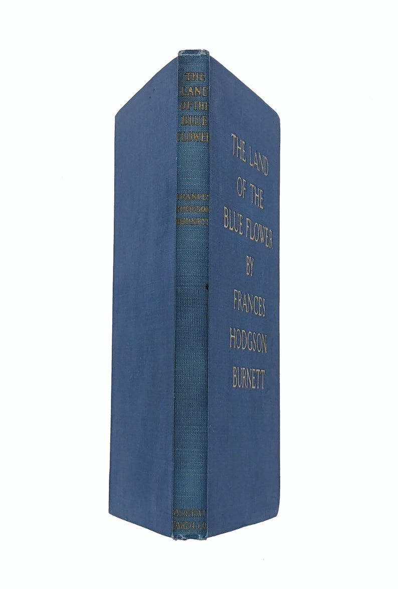 The Land of the Blue Flower by Frances Hodgson Etsy