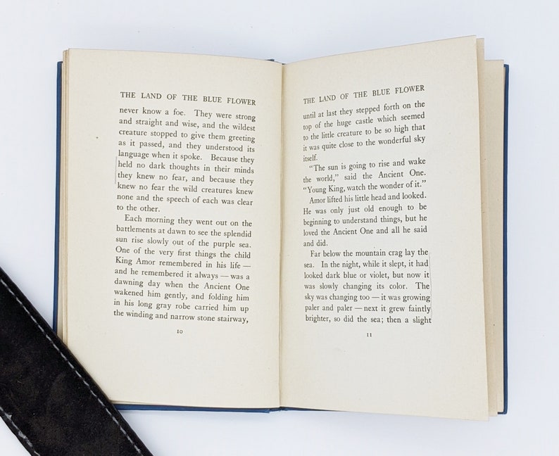 The Land of the Blue Flower by Frances Hodgson Etsy